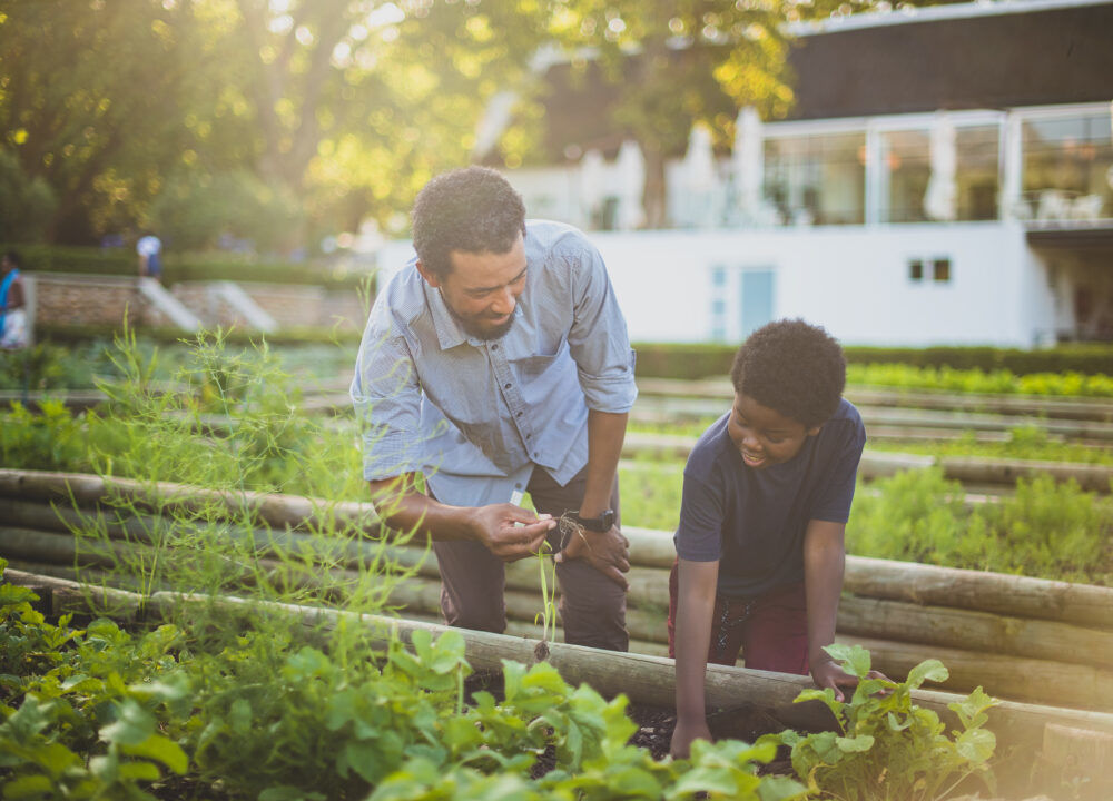 62f2ffa7911df.jpg 62f2ffa7911df.jpg