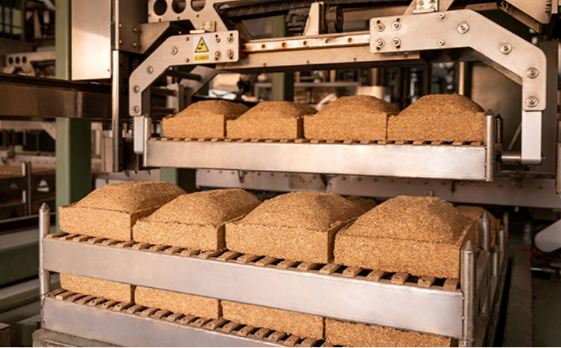 62fd877f16e49.png 4.png