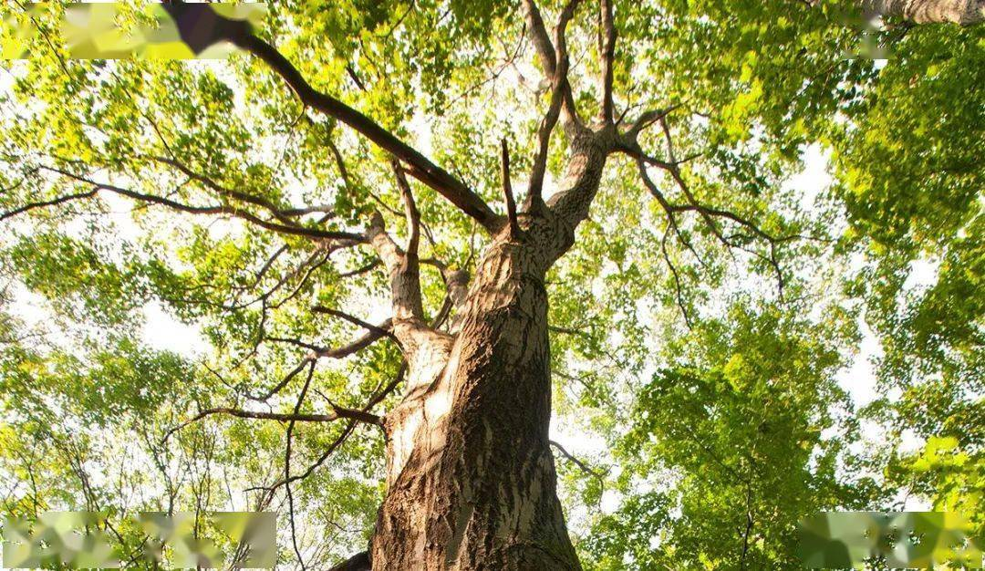 630d5c1567291.png 8.png