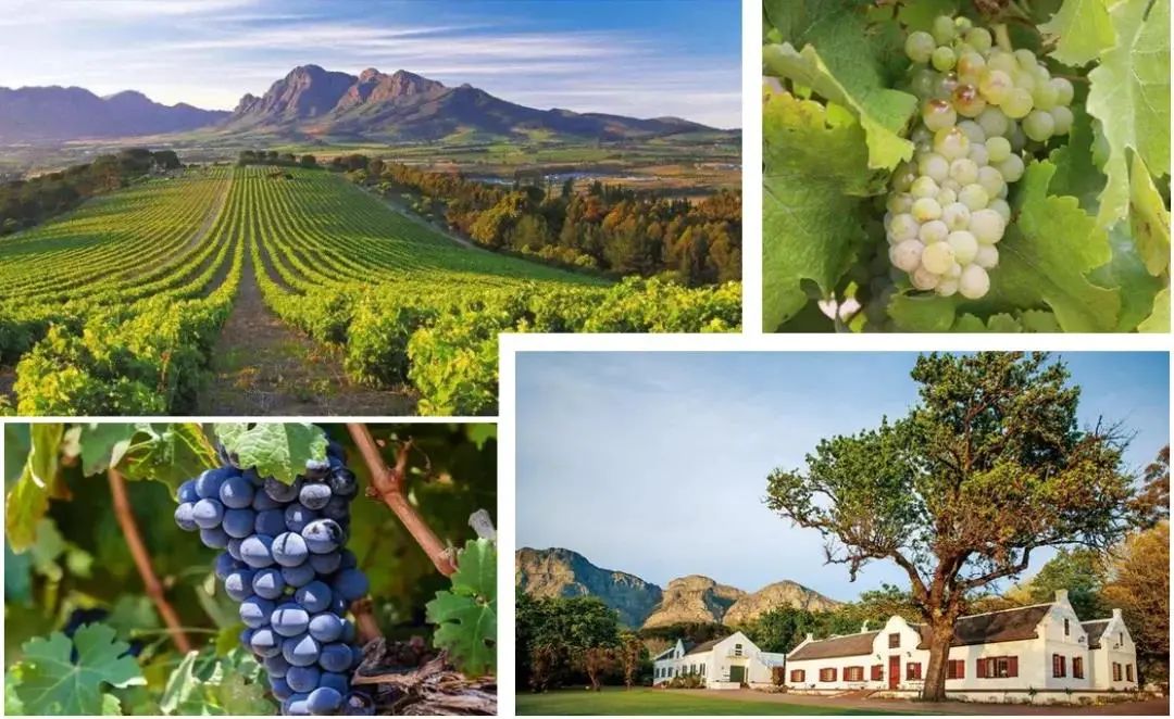 632125c9ade89.jpg 22.jpg