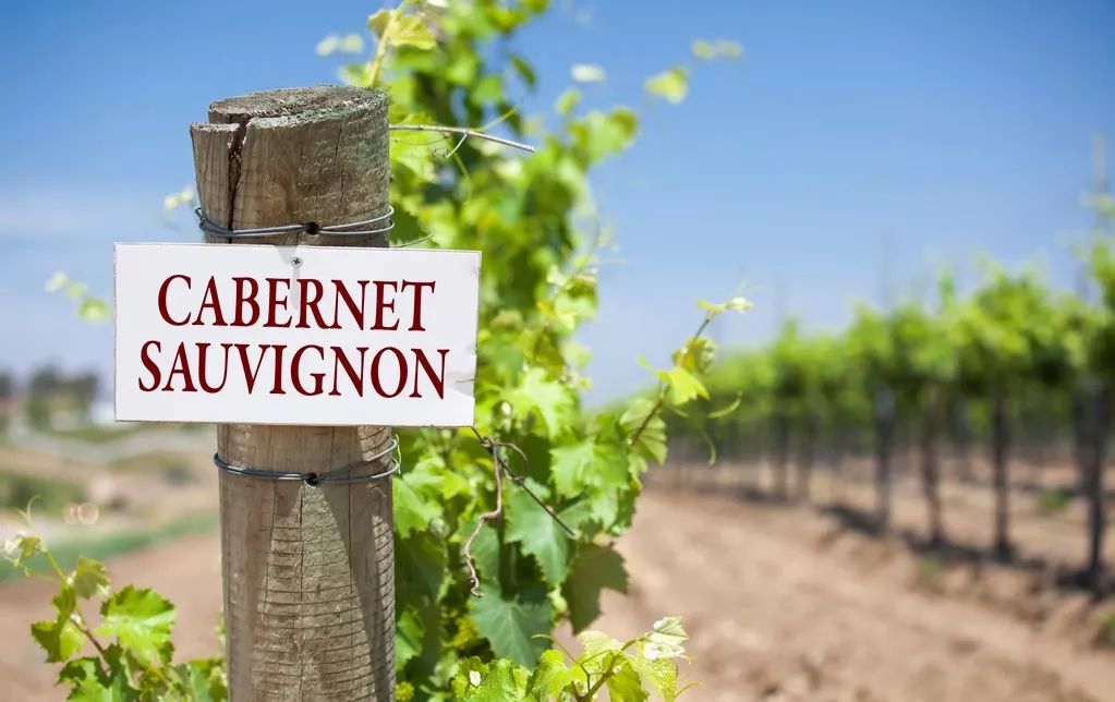 6327bcbfe9a56.jpg 1.jpg