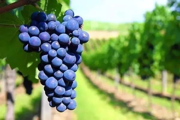 6327bce39fb9f.jpg 2.jpg