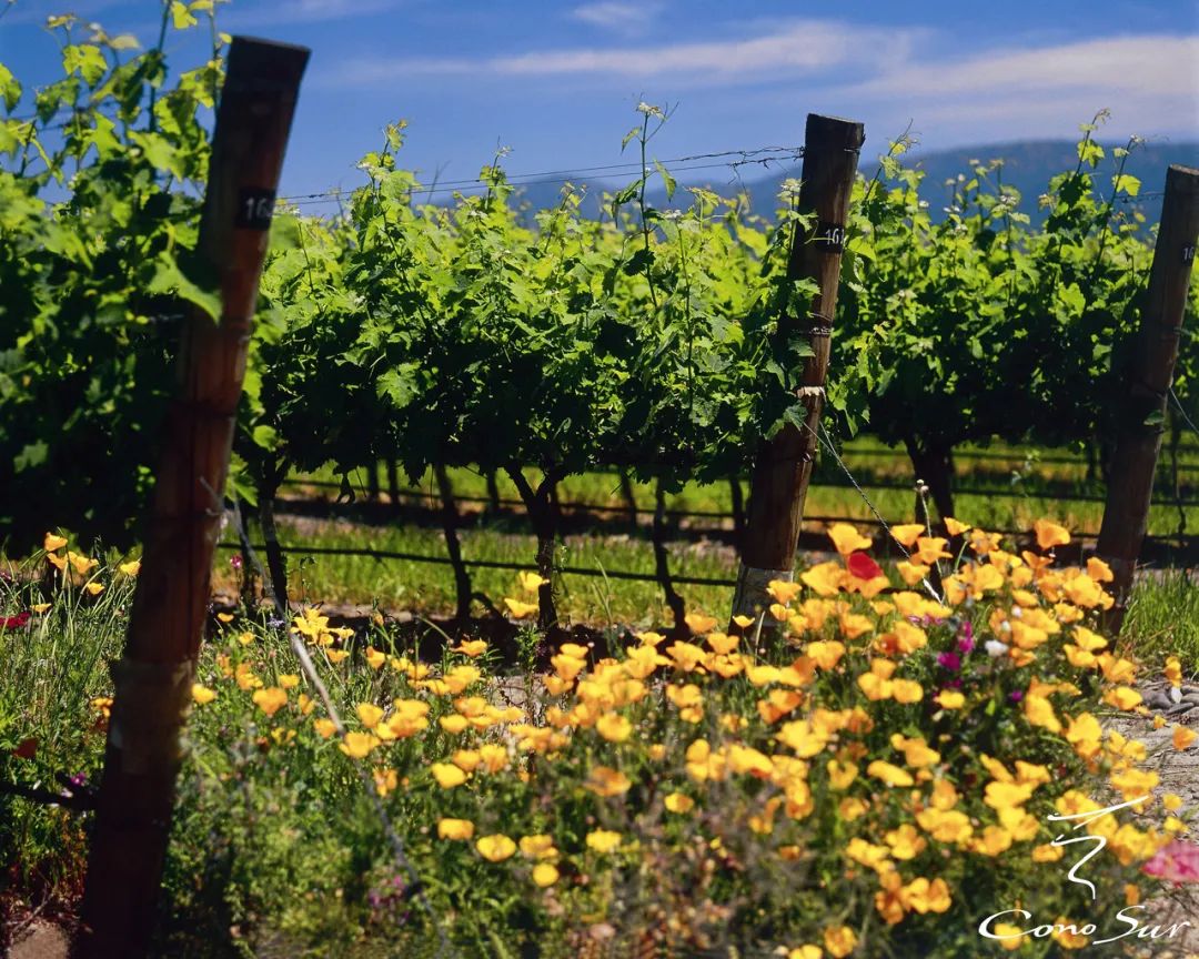 633248eb66b1e.jpg 633248eb66b1e.jpg