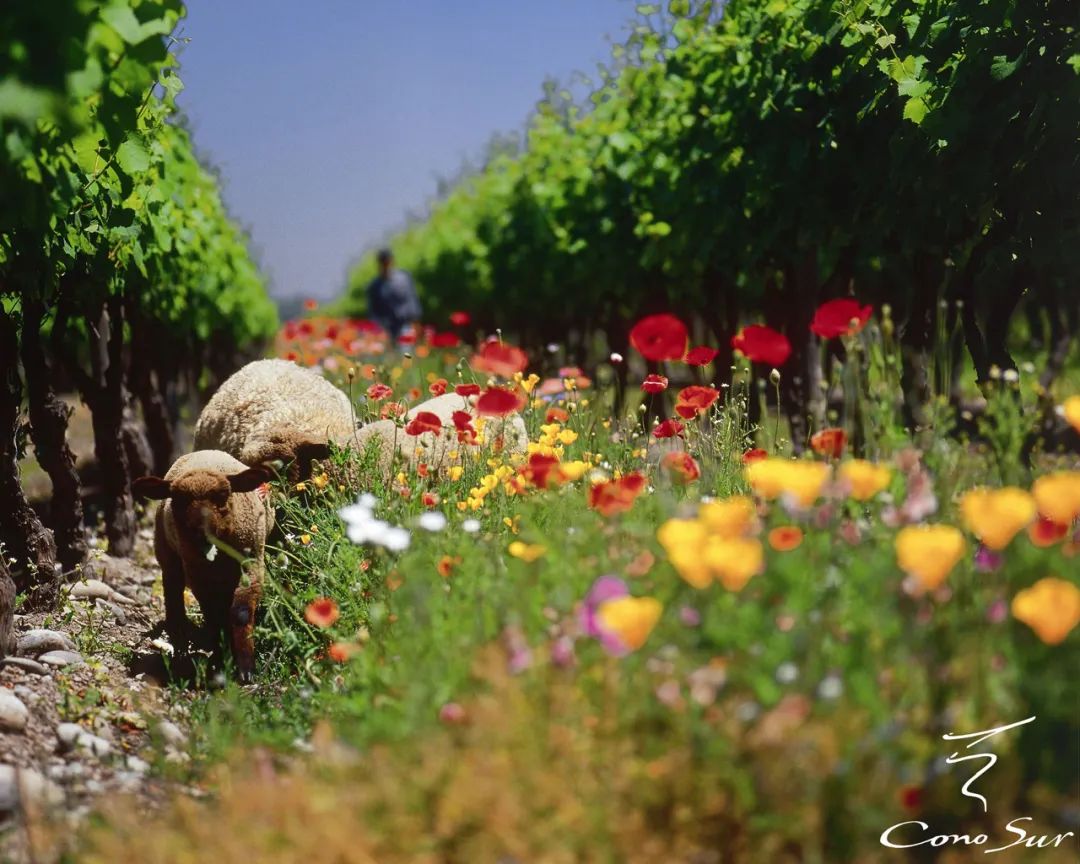 63324970d445e.jpg 63324970d445e.jpg