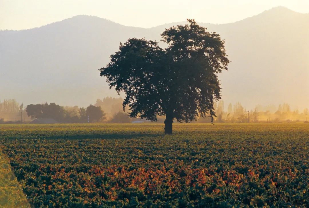 633249d717b18.jpg 633249d717b18.jpg