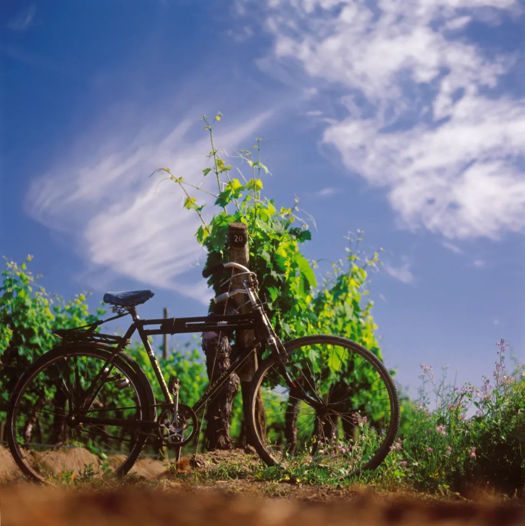 63324b2180b02.jpg 63324b2180b02.jpg