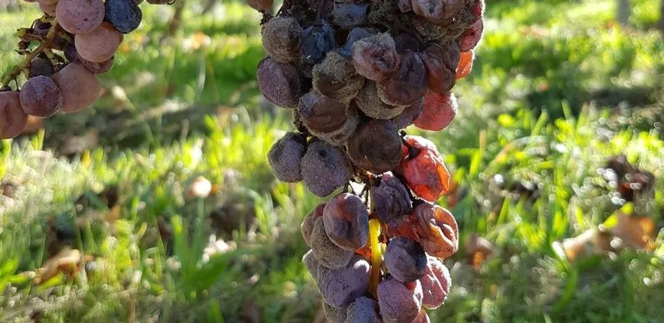 634fc5b5542ee.jpg 634fc5b5542ee.jpg