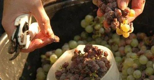 634fc6b45f17e.jpg 22(1).jpg