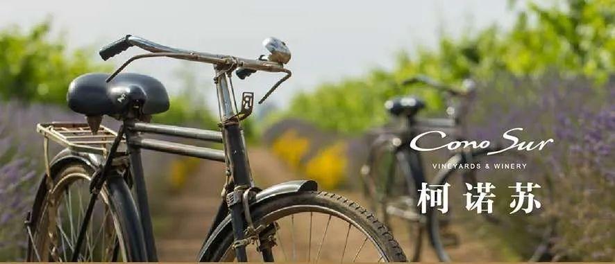 634fc7b4251ec.jpg 634fc7b4251ec.jpg