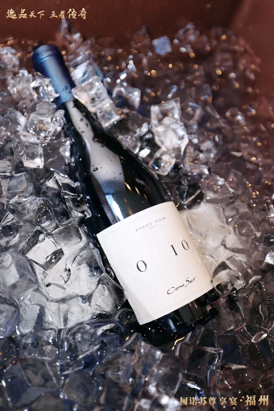 6359d7d4ac527.jpg 6359d7d4ac527.jpg