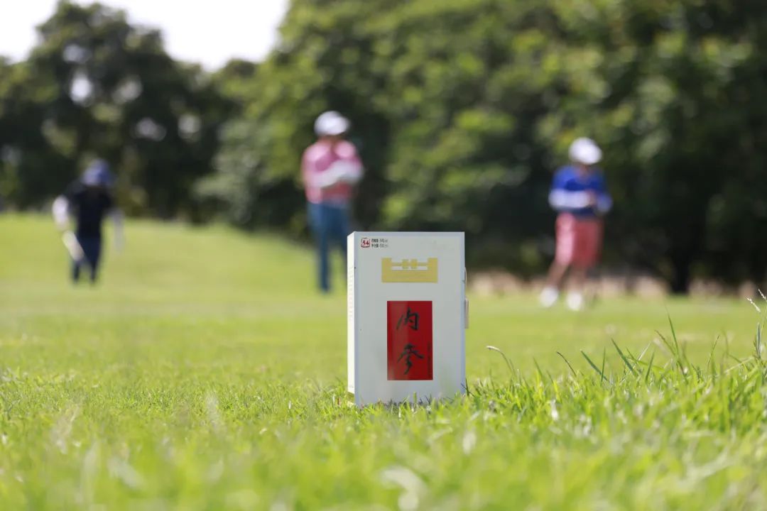 636a06cfe192f.jpg 636a06cfe192f.jpg