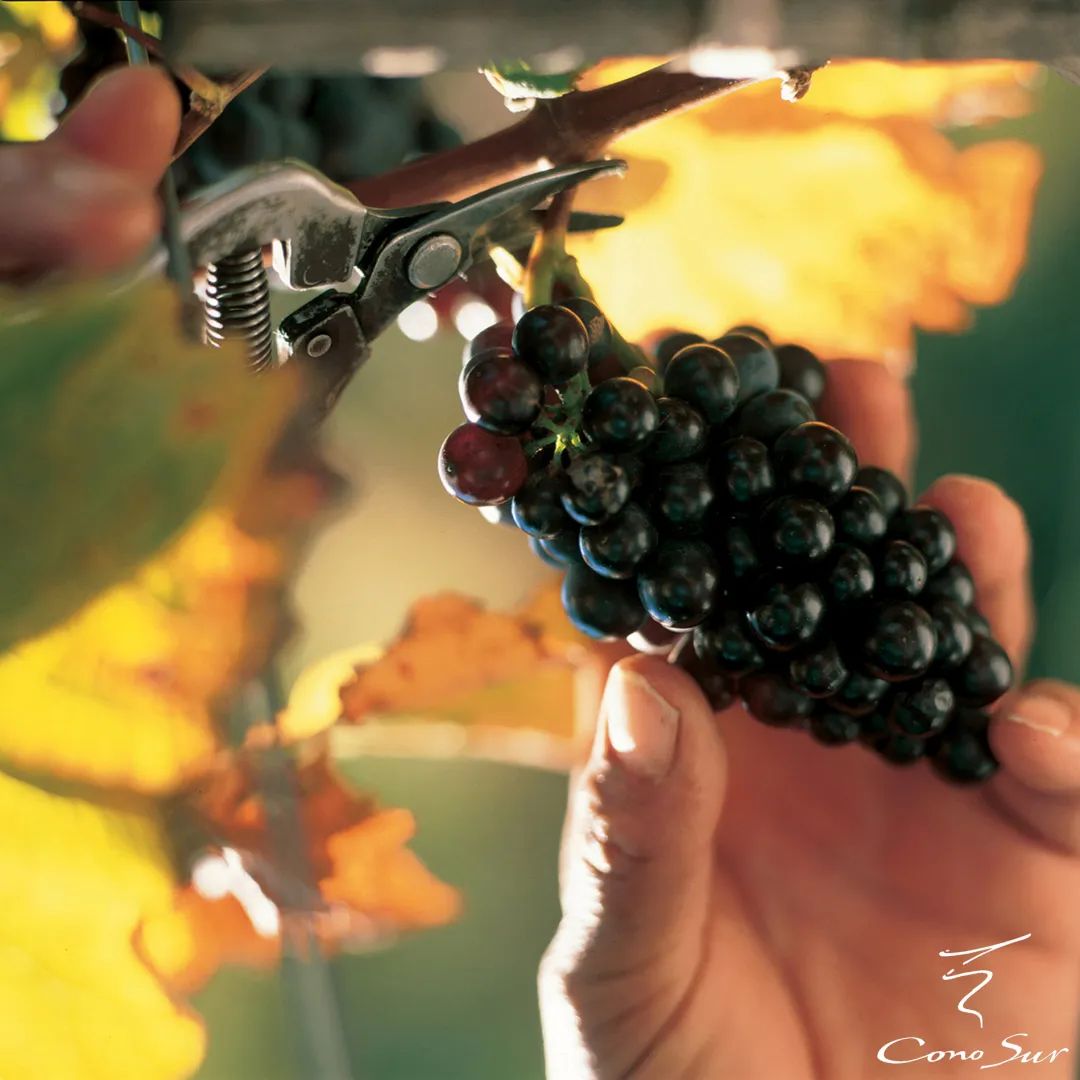 636b5dddb37fe.jpg 636b5dddb37fe.jpg