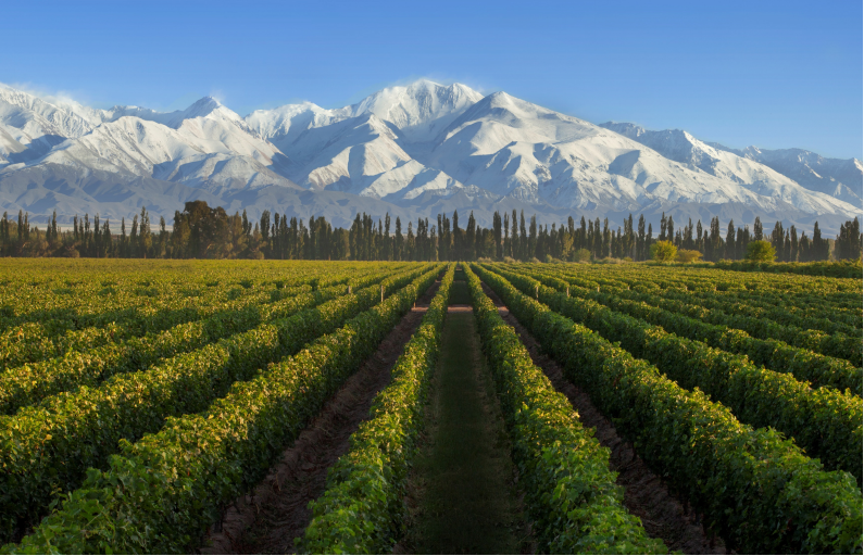 6396d887901a4.png 6.png