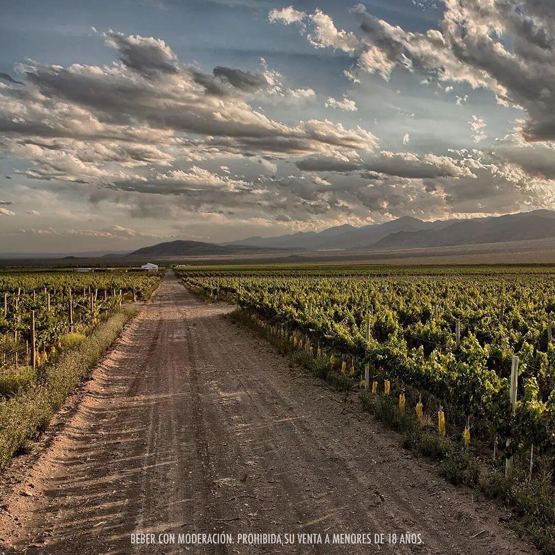 6396d989d4673.jpg 6396d989d4673.jpg